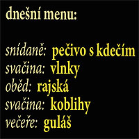  denn menu 31.7.2008... Trpk 2008 ...  foto: vlasti