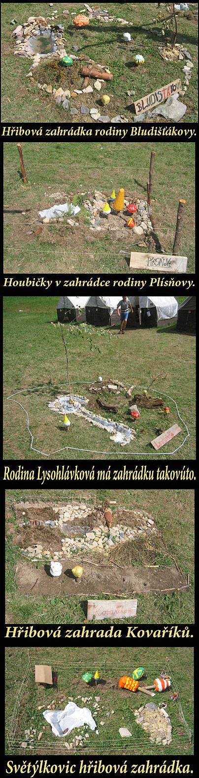   Trpk 2008  zahrdky  3.8.2008 ...   foto: Vlastimil Ondra