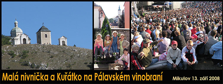  ... Mikulov ... Plavsk vinobran ... 13.9.2008 ... foto: vlasti