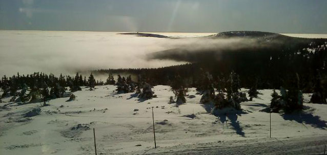   ... foto: MMSka od Luka Gurye ... 