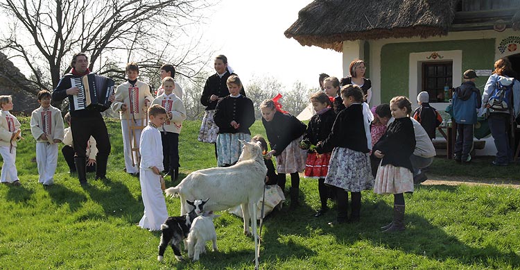 Mal nivnika ve strnickm skanzenu 16.4.2011 ... foto: Ji Mikar 